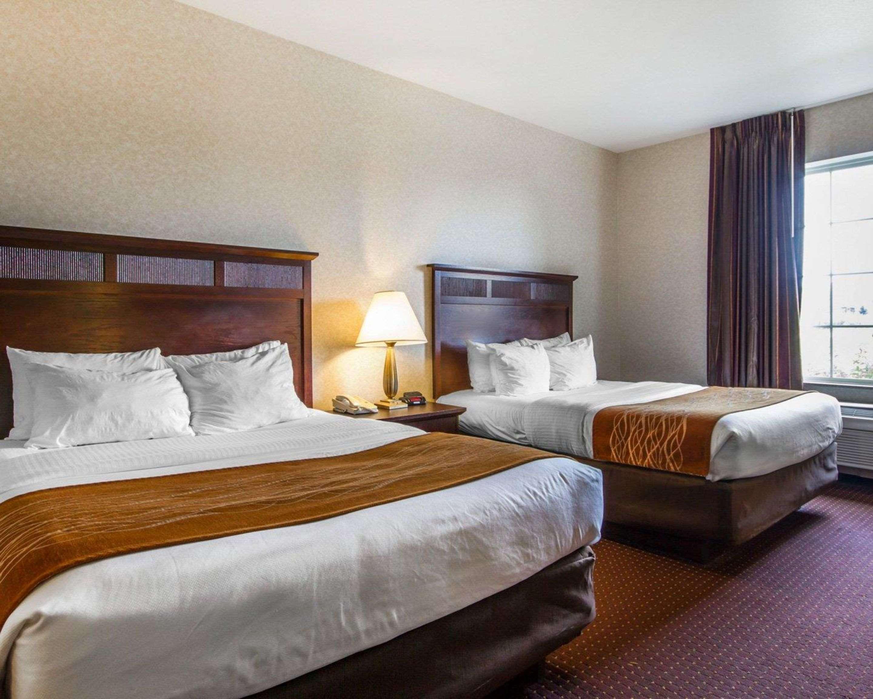 Comfort Inn & Suites Madison North Deforest Ngoại thất bức ảnh