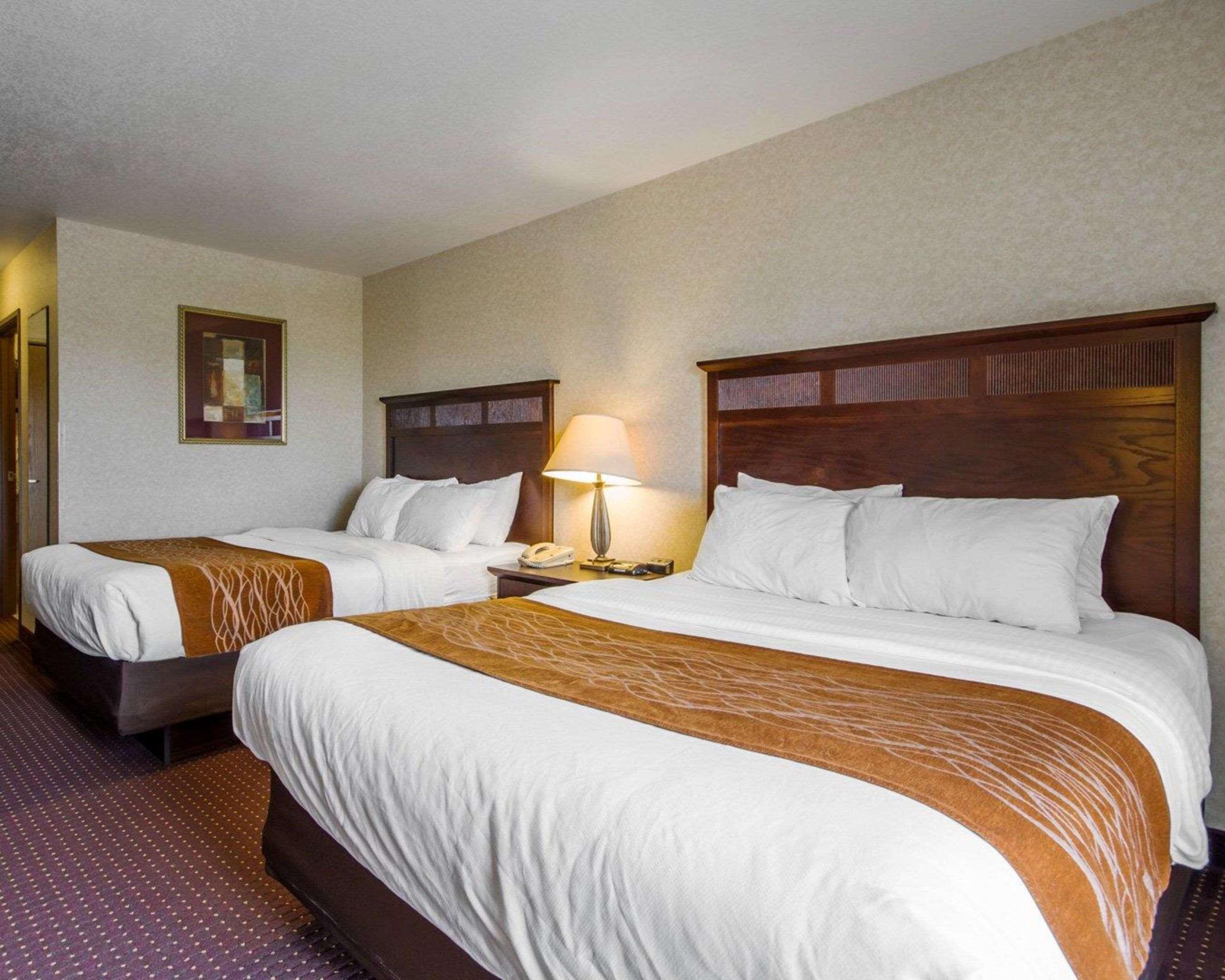 Comfort Inn & Suites Madison North Deforest Ngoại thất bức ảnh